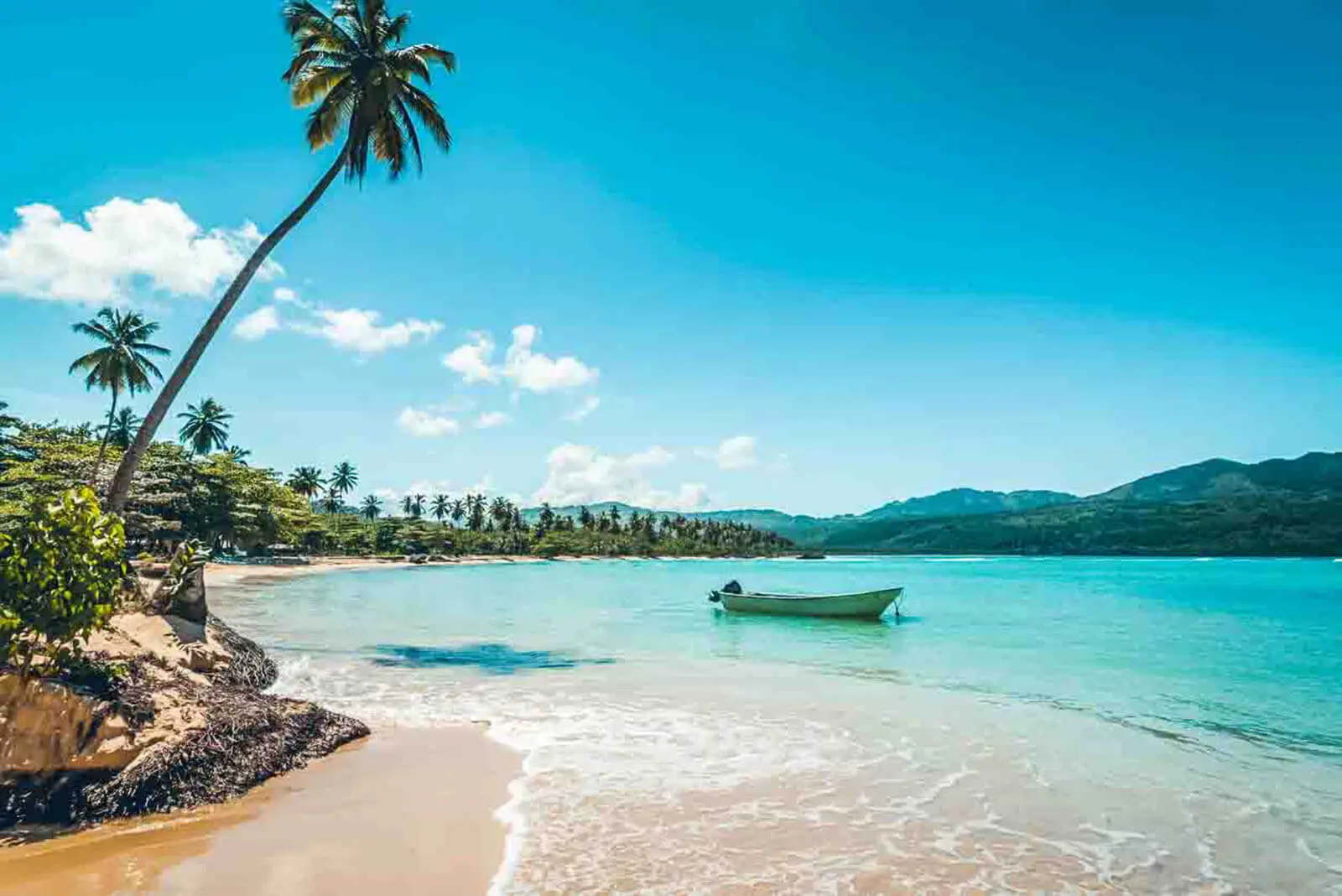 Photo en haut à droite du carroussel